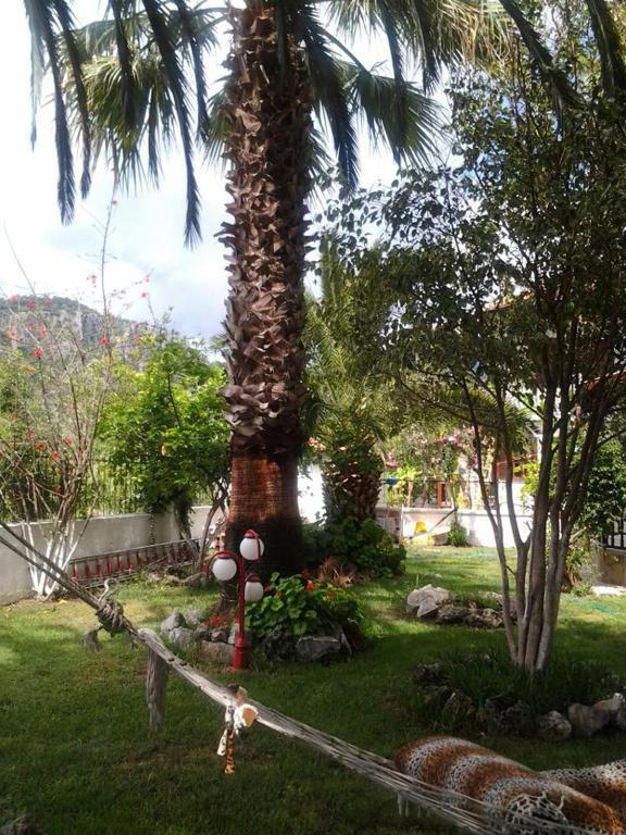 B.C. Alya Hotel Dalyan Exterior photo